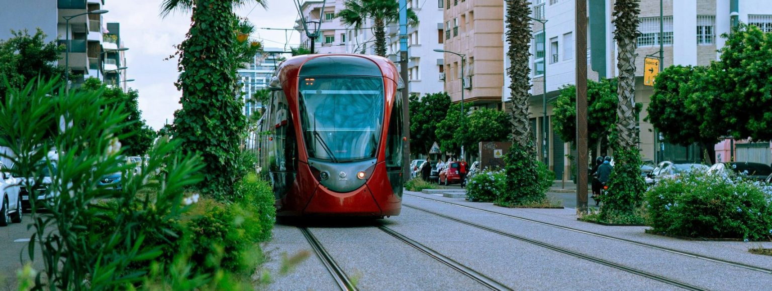 oussama-rahib-NNECQHl9bJc-unsplash